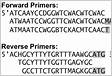 FunGene the functional gene pipeline and  in